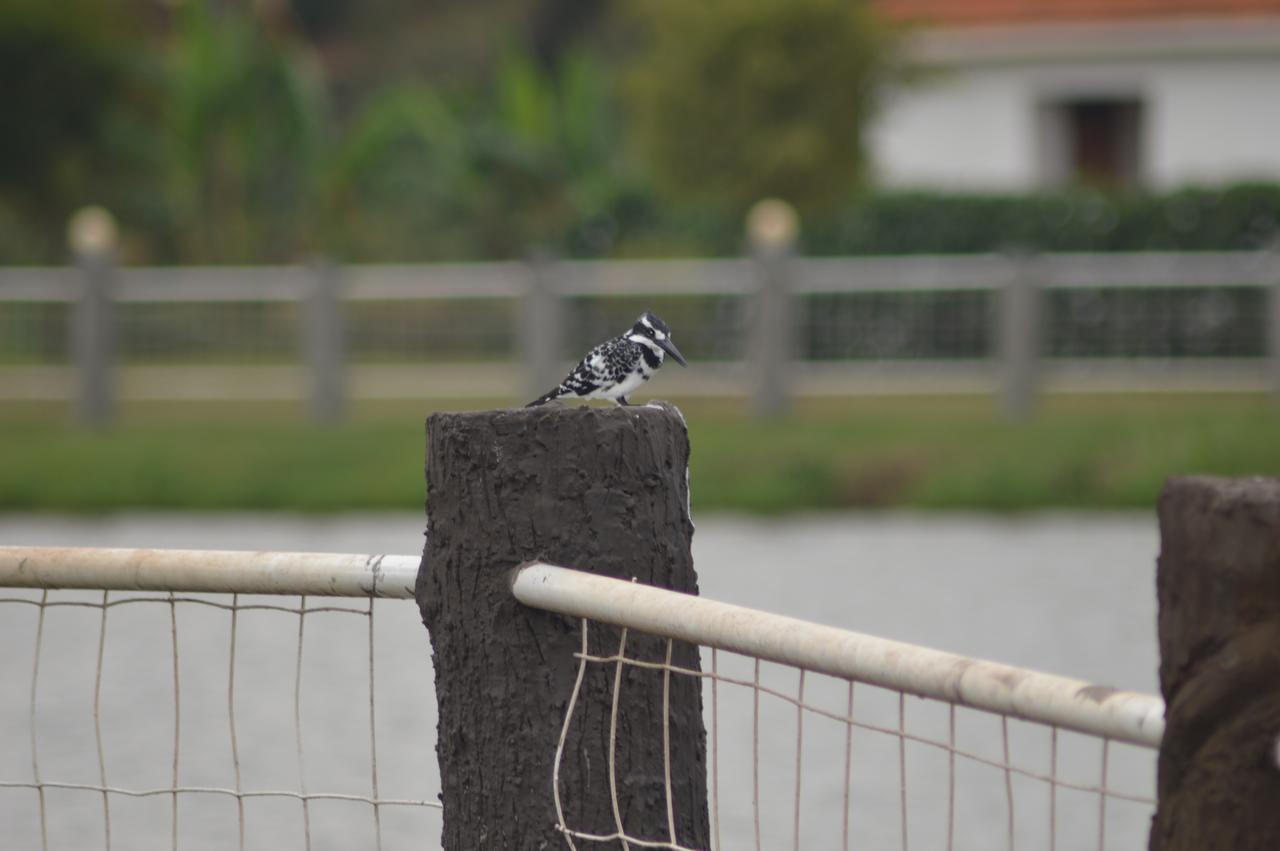 Buloba Forest Park Resort מראה חיצוני תמונה